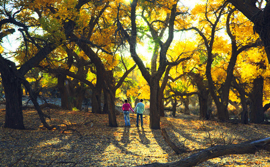 Ԫ����(ji��)�������˹�(ji��) �P�c���D(zhu��n)�p��(ji��)ȫ����