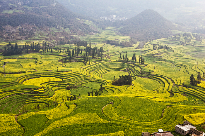 3�����ε����]