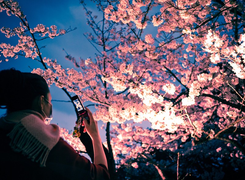 ����쵽�� ȫ��λ���湩���x��