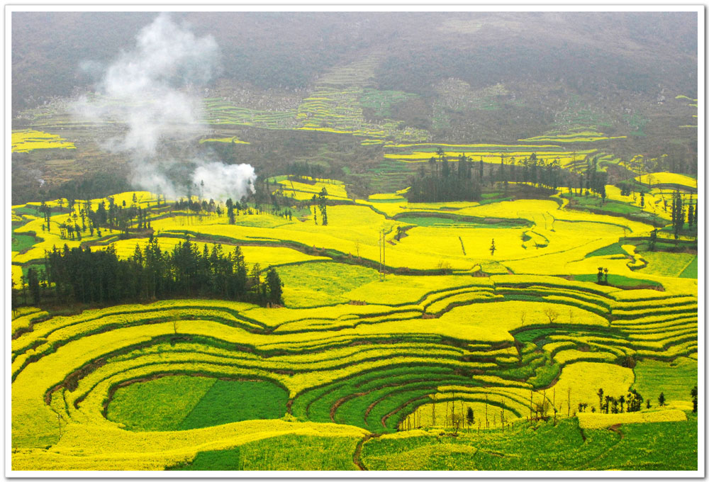 ���Ҵ���������ɫ 2014�_ƽ�Ͳ˻��Дzȫ����