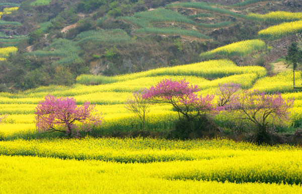 ���Ҵ���������ɫ 2014�_ƽ�Ͳ˻��Дzȫ����