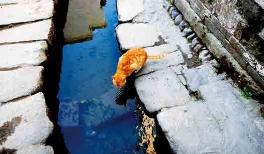 ꖴ����¸����� ��һ��(ch��ng)���ļs��(hu��)