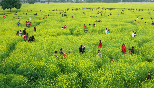 ȫ��&ldquo;���S&rdquo;�؈D���������S�T��o���֓�