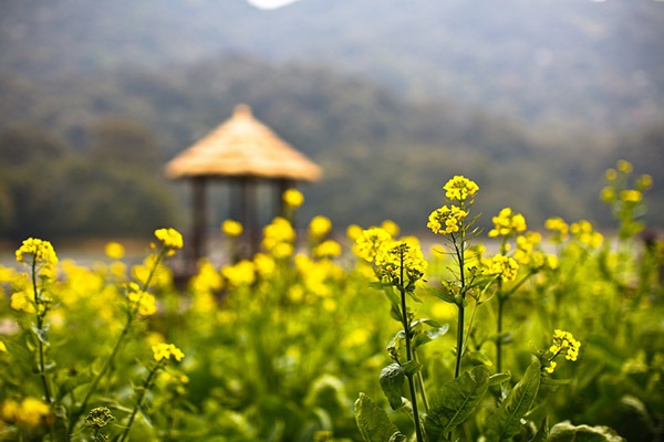 ȫ��&ldquo;���S&rdquo;�؈D���������S�T��o���֓�