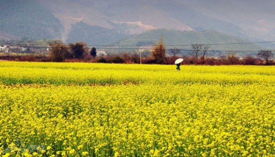 ȫ��&ldquo;���S&rdquo;�؈D���������S�T��o���֓�