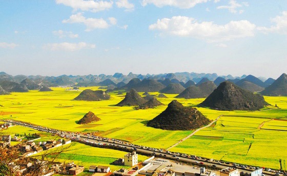 ȫ��&ldquo;���S&rdquo;�؈D���������S�T��o���֓�