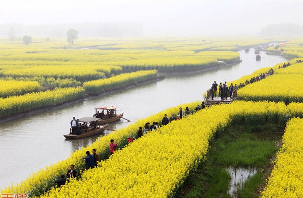 ȫ��(gu��)&ldquo;���S&rdquo;�؈D���������S�T��o(w��)���֓�