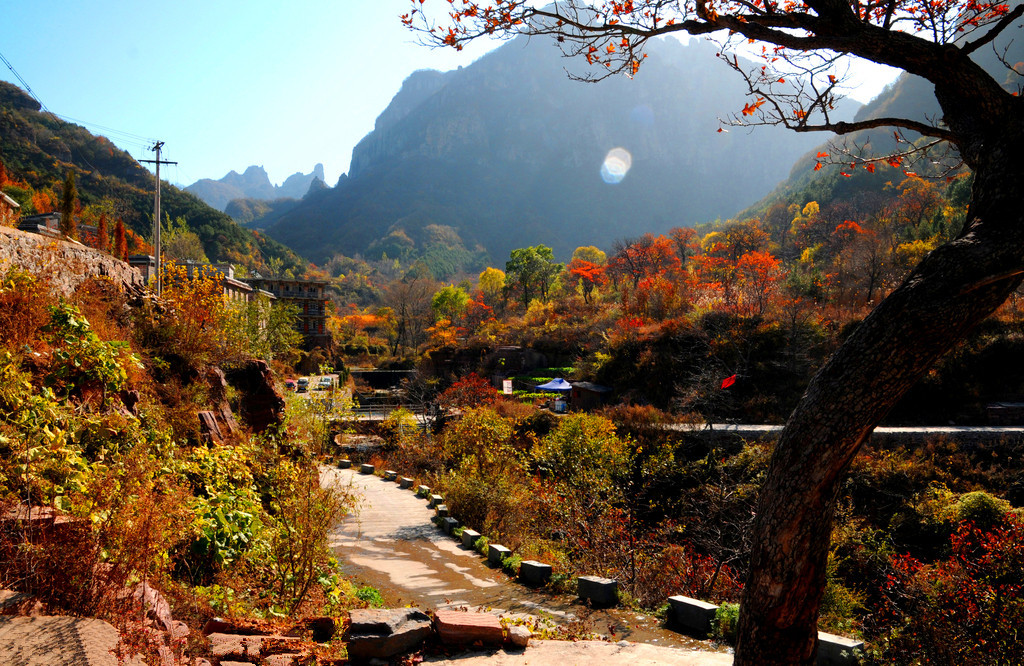 &ldquo;ԥ&rdquo;����s������ ���Һ�������Ĵ�ɫ 