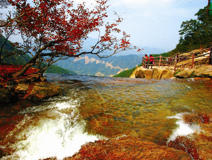 &ldquo;ԥ&rdquo;����s������ ���Һ�������Ĵ�ɫ 