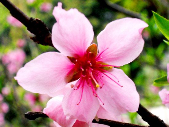 ��ĩ�옷(l��)̤���� ������߅�p�����{·��