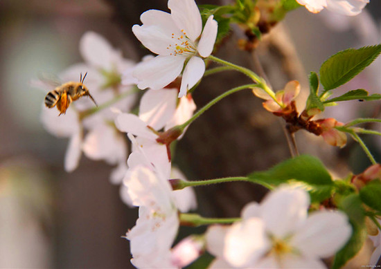 ��ĩ�옷(l��)̤���� ������߅�p�����{·��(sh��)