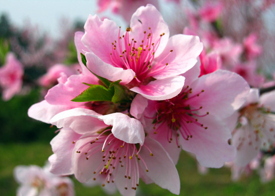 ��ĩ�옷̤���� ������߅�p�����{·��