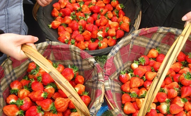 ��ĩ�Ͳ�ݮ��(l��i)һ��(ch��ng)�s&ldquo;��&rdquo; ������߅ȥ�L�r