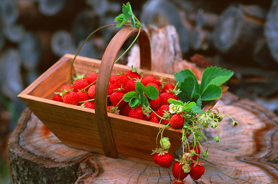 ��ĩ�Ͳ�ݮ��һ���s&ldquo;��&rdquo; ������߅ȥ�L�r