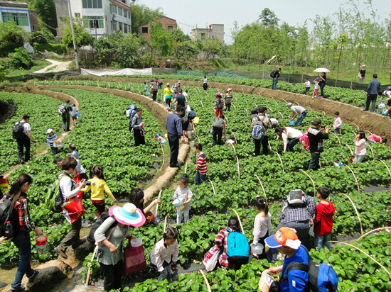 ��ĩ�Ͳ�ݮ��һ���s&ldquo;��&rdquo; ������߅ȥ�L�r