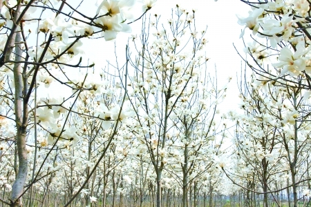 �ÄŃ���������6��(g��)���M(f��i)�p��̤��ĺ�ȥ̎