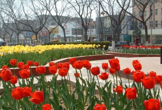 �ÄŃ���������6�����M�p��̤��ĺ�ȥ̎