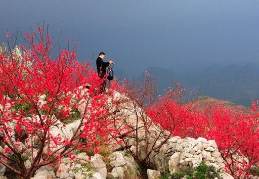 �ÄŃ���������6��(g��)���M(f��i)�p��̤��ĺ�ȥ̎