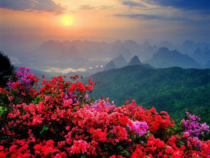 &ldquo;3.8&rdquo;��(ji��) ��ɽ���^(q��)&ldquo;�R���жY&rdquo;