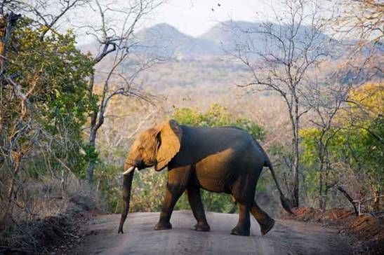 �R�ϳ��l(f��) 2014ȫ�������������(bi��o)���]