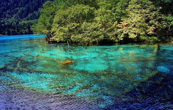 ���T���^�Ǻ�ȥ̎ ���ҁ������ǵĶ�����