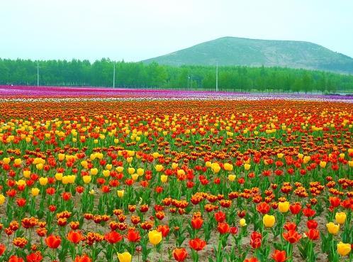 �s�������� �������ɽ