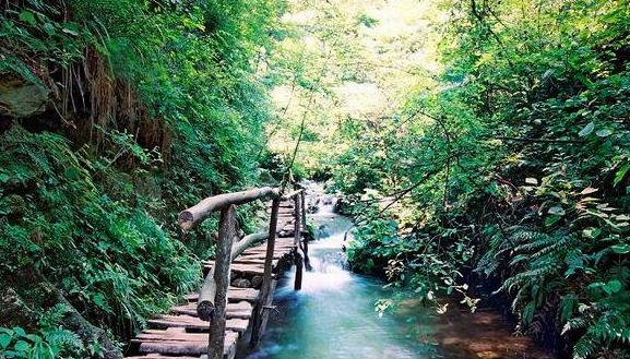 ���㴺���� �ض�̤����