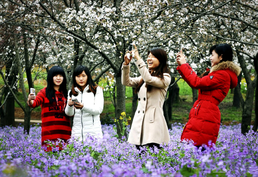 �Һ��r���ļs�� ���������p������