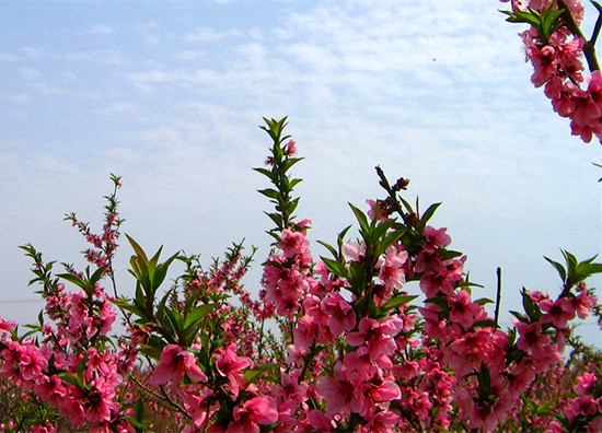 ����ɽ�һ���(ji��)��Ļ 