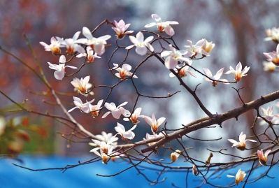 ���|�^(q��)��ɫʮ�� �p����ȥ̎