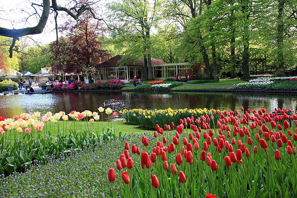 �p��֮�� ȫ���p��ʢ��TOP8