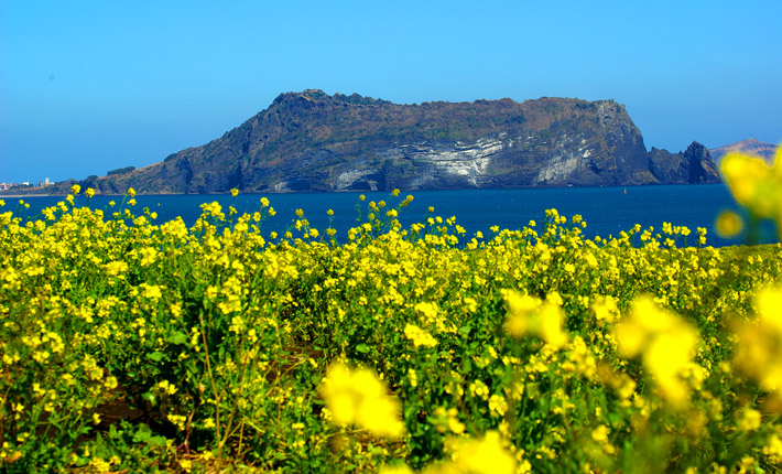 �n��(gu��)��(j��)�ݍu(�Ͳ˻�