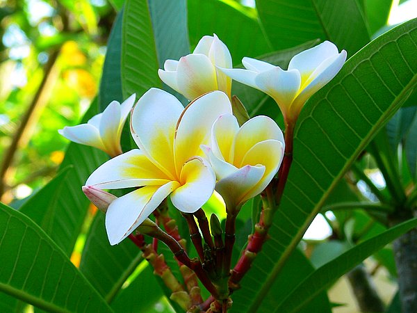 ����u(�u����