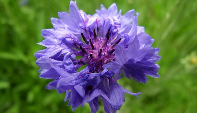 �p��֮�� ȫ���p��ʢ��TOP8