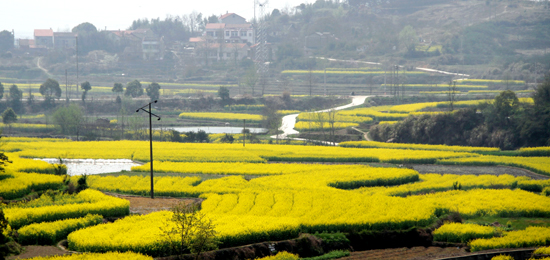 ���Ͳ˻������h �P�c�����ۺ����Լ����Ͳ˻���