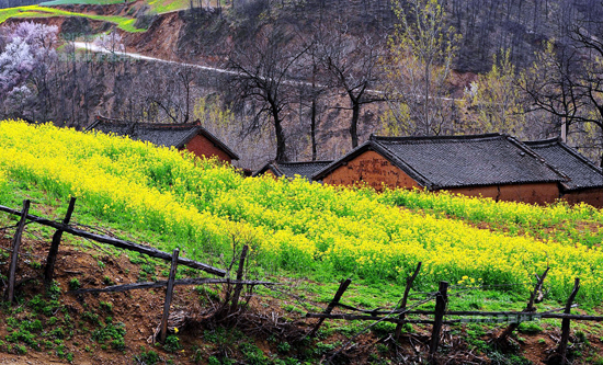 ���Ͳ˻������h �P�c�����ۺ����Լ����Ͳ˻���