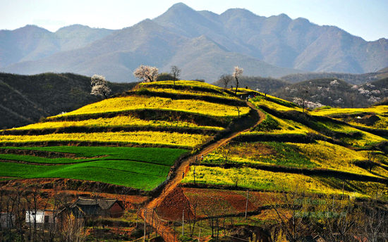 ���Ͳ˻������h �P�c�����ۺ����Լ����Ͳ˻���