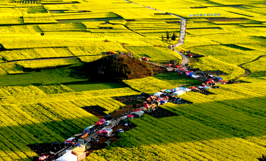 ���Ͳ˻������h(yu��n) �P�c(di��n)�����ۺ����Լ����Ͳ˻���