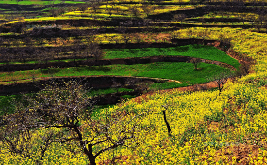 ���Ͳ˻������h(yu��n) �P�c(di��n)�����ۺ����Լ����Ͳ˻���