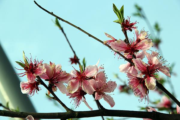 ��һ��(ch��ng)�����&ldquo;�G��&rdquo; ʡ��(n��i)�p�һ��P�c(di��n)