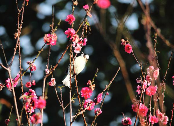 ��һ�������&ldquo;�G��&rdquo; ʡ��(n��i)�p�һ��P�c(di��n)