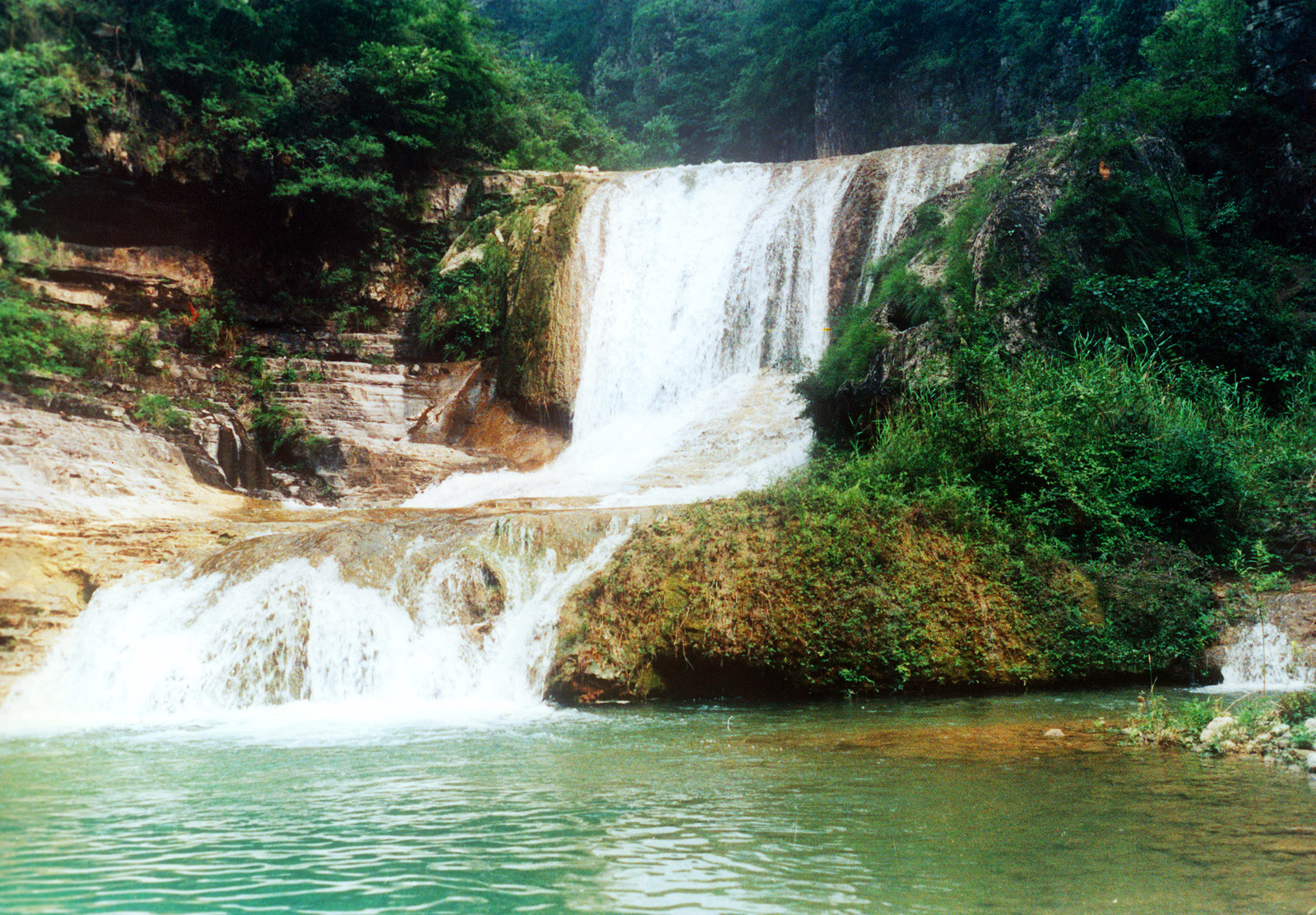 �����һ� ��������