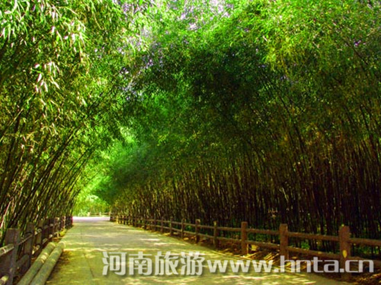 �(y��ng)������ ���ϵ�ɽ��ȥ̎