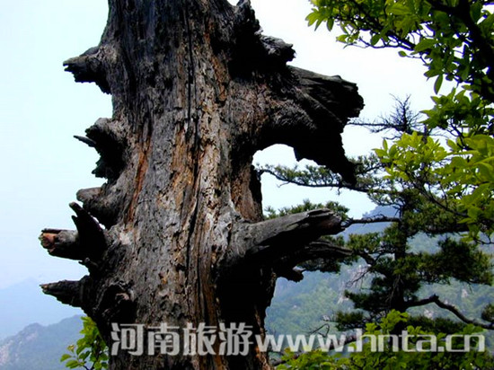 �(y��ng)������ ���ϵ�ɽ��ȥ̎