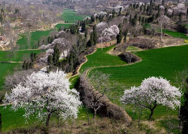 2014��ꖭh(hu��n)������ʮ�ߌ��ӻ���(ji��)�����_Ļ