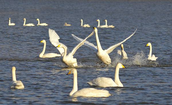 �����e(cu��)�^���p�Z��ѵ�&mdash;&mdash;����