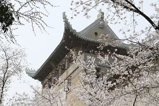 享受這個(gè)春天 盤點(diǎn)自駕游必去的城市