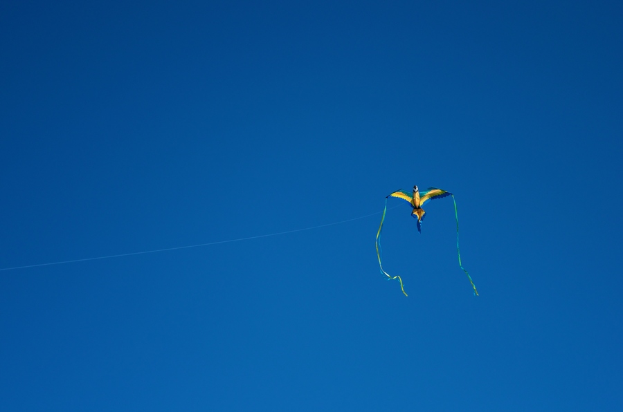 ���L(f��ng)�~���������������ѷ��L(f��ng)�~�����]