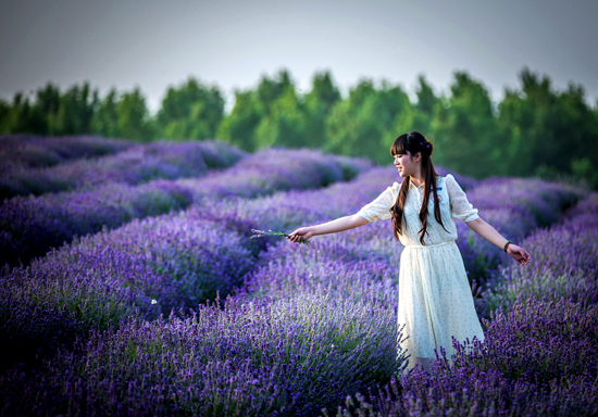 �������ɽ ��һС�L�����e���ɺ�ȥ̎