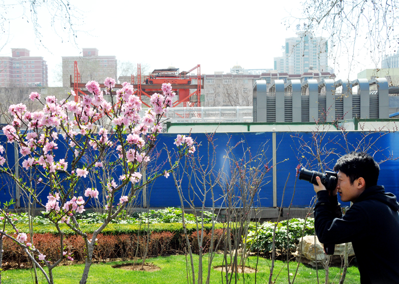 �p���αص����� ʡ��(n��i)�p�����ε����]